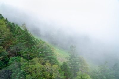 心がモヤモヤする気持ちを包む霧に覆われた山の風景