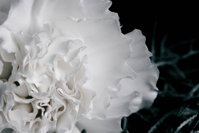 比べなくて大丈夫だよ。うまく言えない気持ちも、そのままでいていいんだよ。